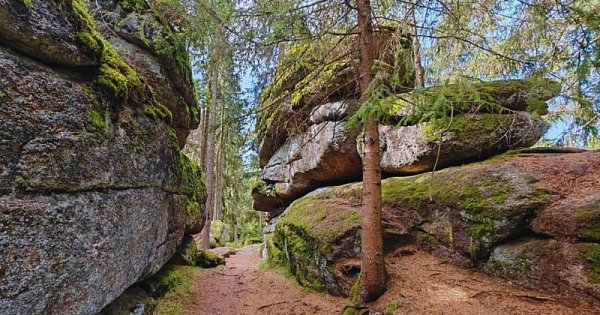 Horal Novohradských hor