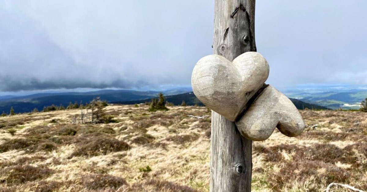 Srdíčková výzva 2023