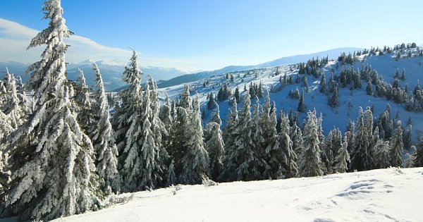 Sakra, jdu vypotit kapra 2026