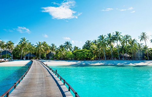 Maldivene