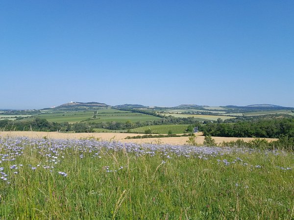 Liščí vrch