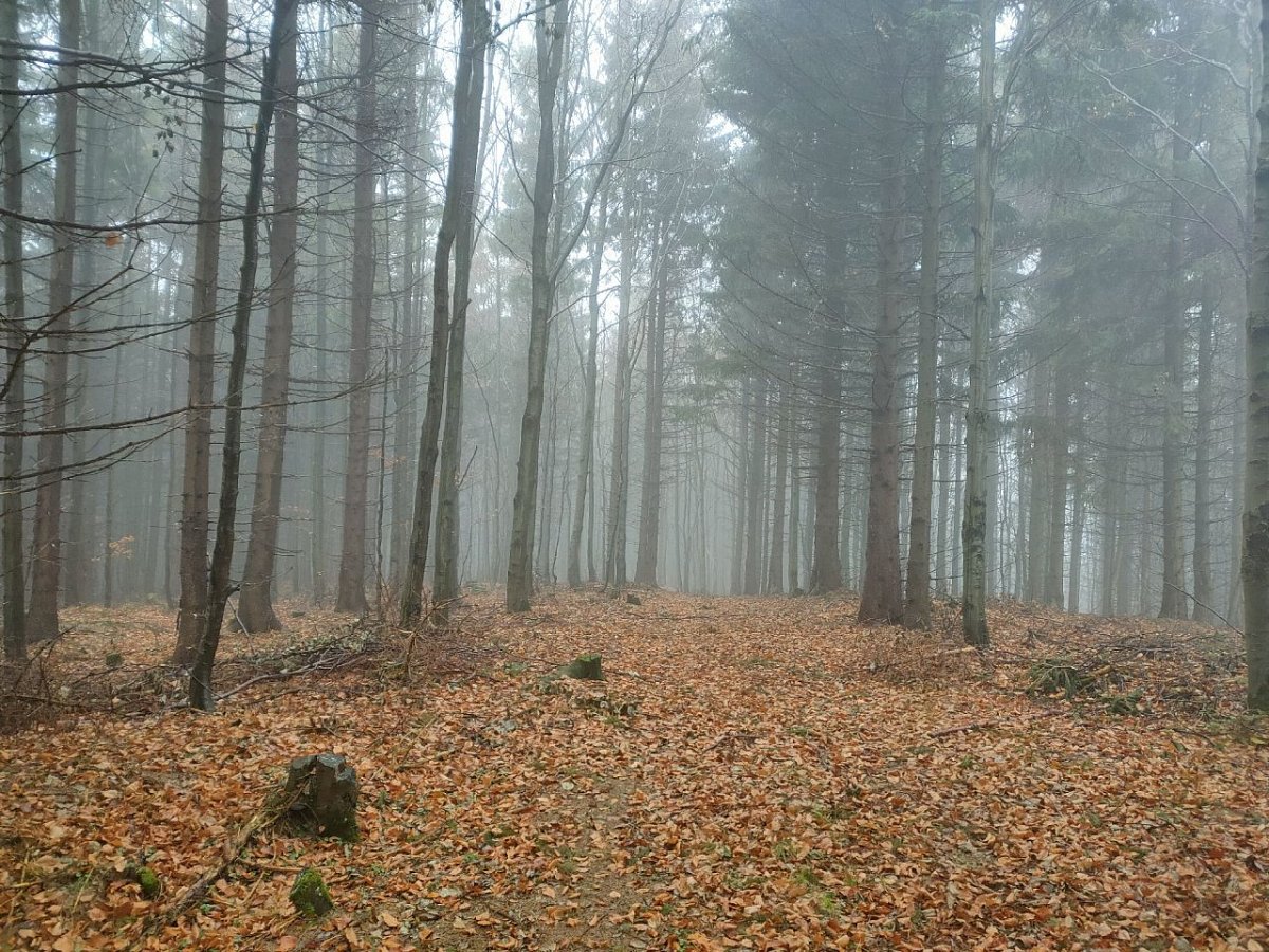 Klínec (900&nbsp;m)
