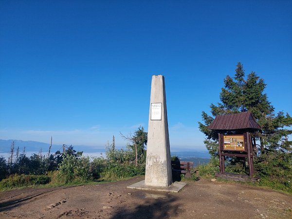 Turbacz