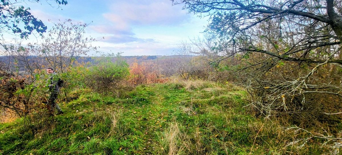 Hradiště (275&nbsp;m)