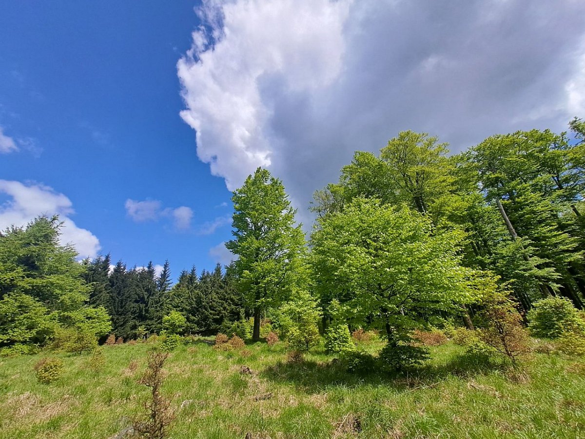 Řemdih (741&nbsp;m)