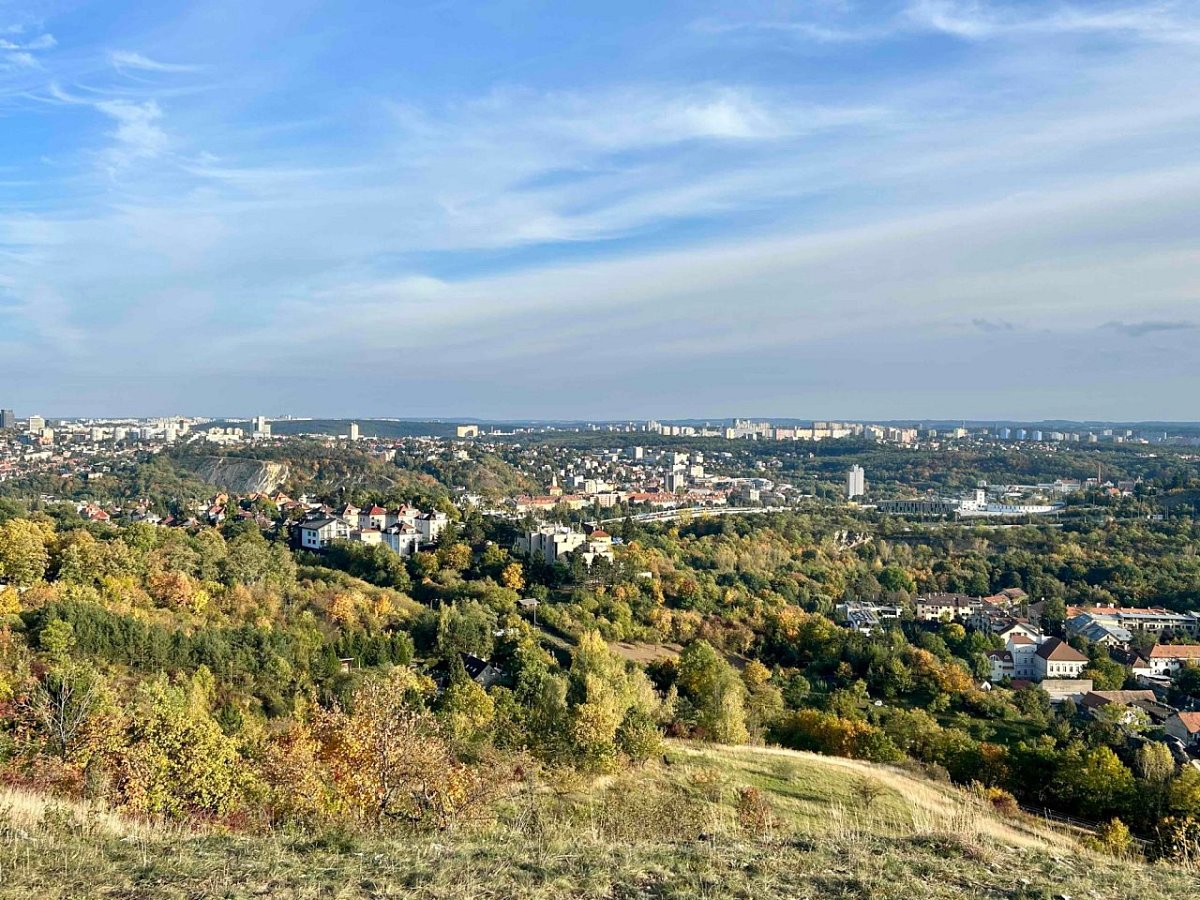 Děvín (310&nbsp;m)