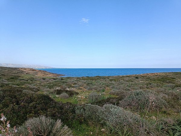 Cozzo Balsamo