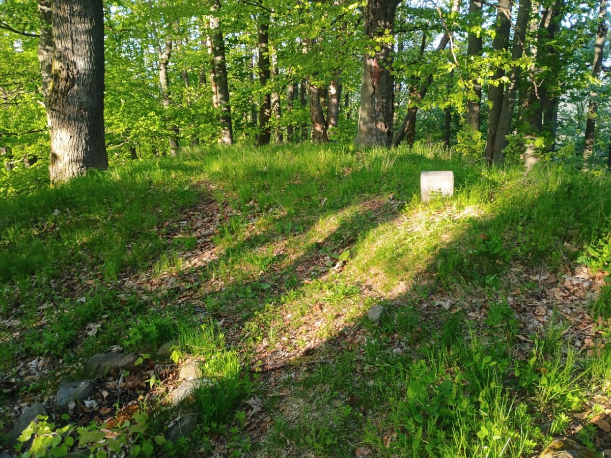 Hamerský Špičák (452&nbsp;m)