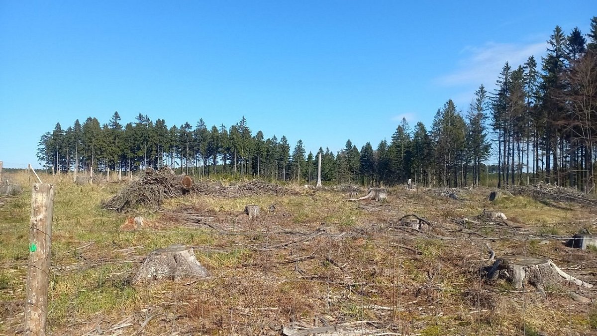 Řídelovský kopec (716&nbsp;m)
