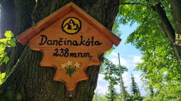 Dančina kóta