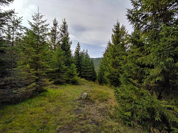 Hradečná