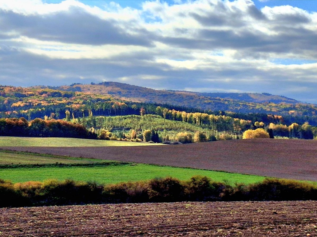 Královic vršek (487&nbsp;m)