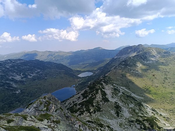 Канарата