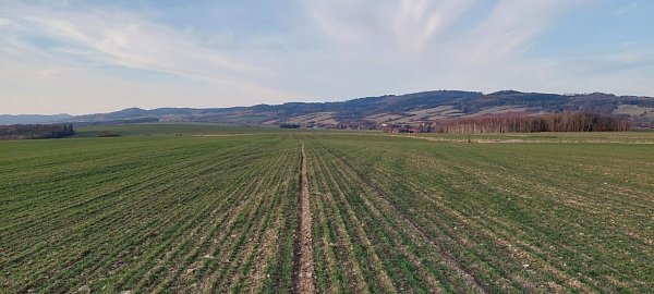 Otovický vrch
