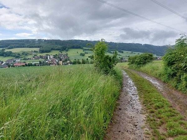 U Třech lip