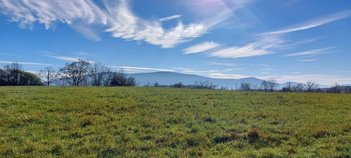 Vápenková skala (467&nbsp;m)