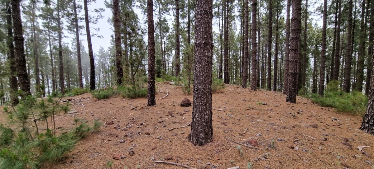 Morra Itote (1795&nbsp;m)