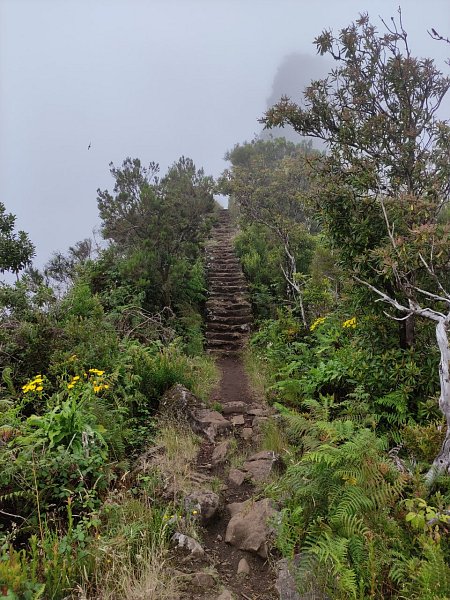 Pico do Tapeiro
