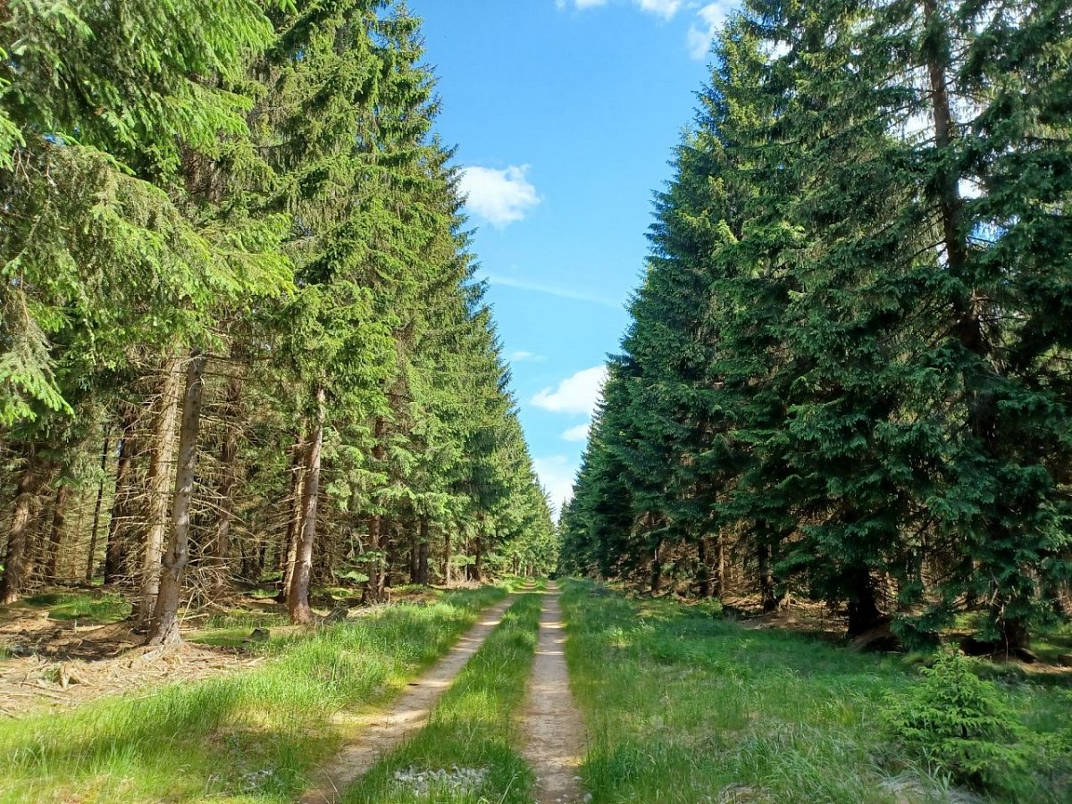 Milíř (834&nbsp;m)
