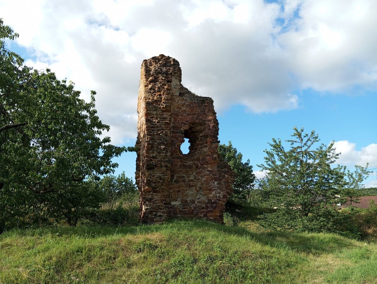 Žerotín - zřícenina  (353&nbsp;m)