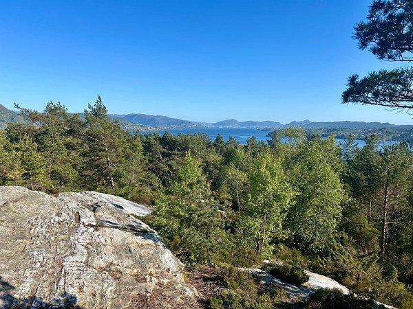 Furefjellet