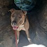 Alda