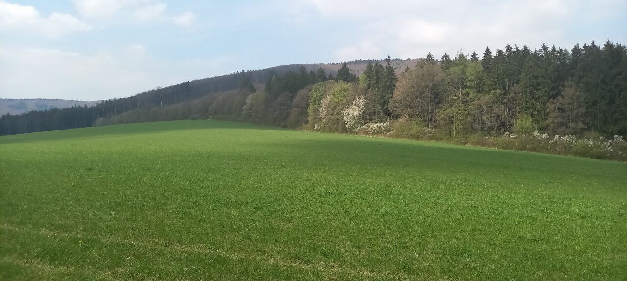 Židáky
