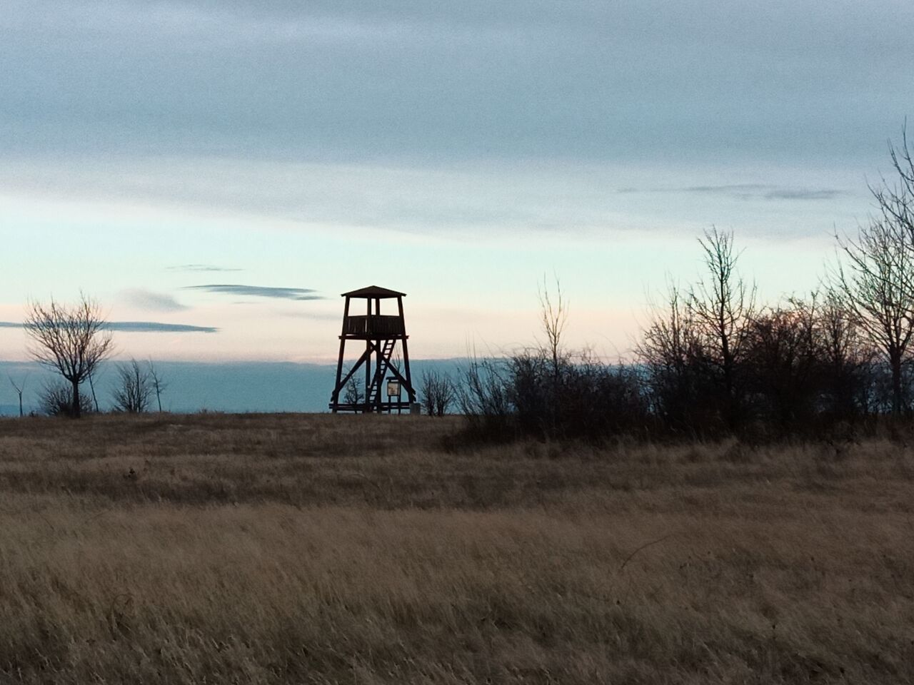 Holý vrch