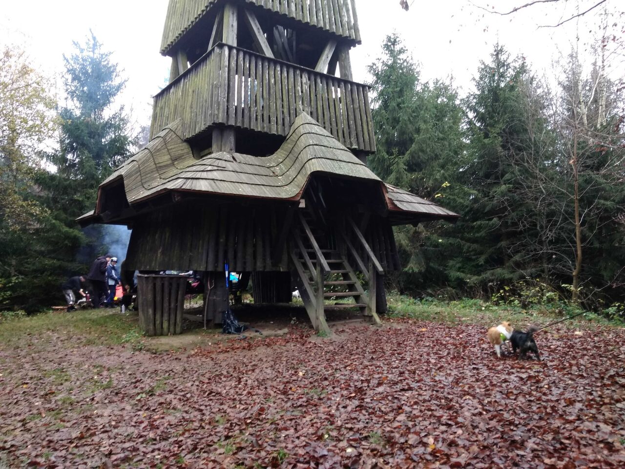 Čubův kopec