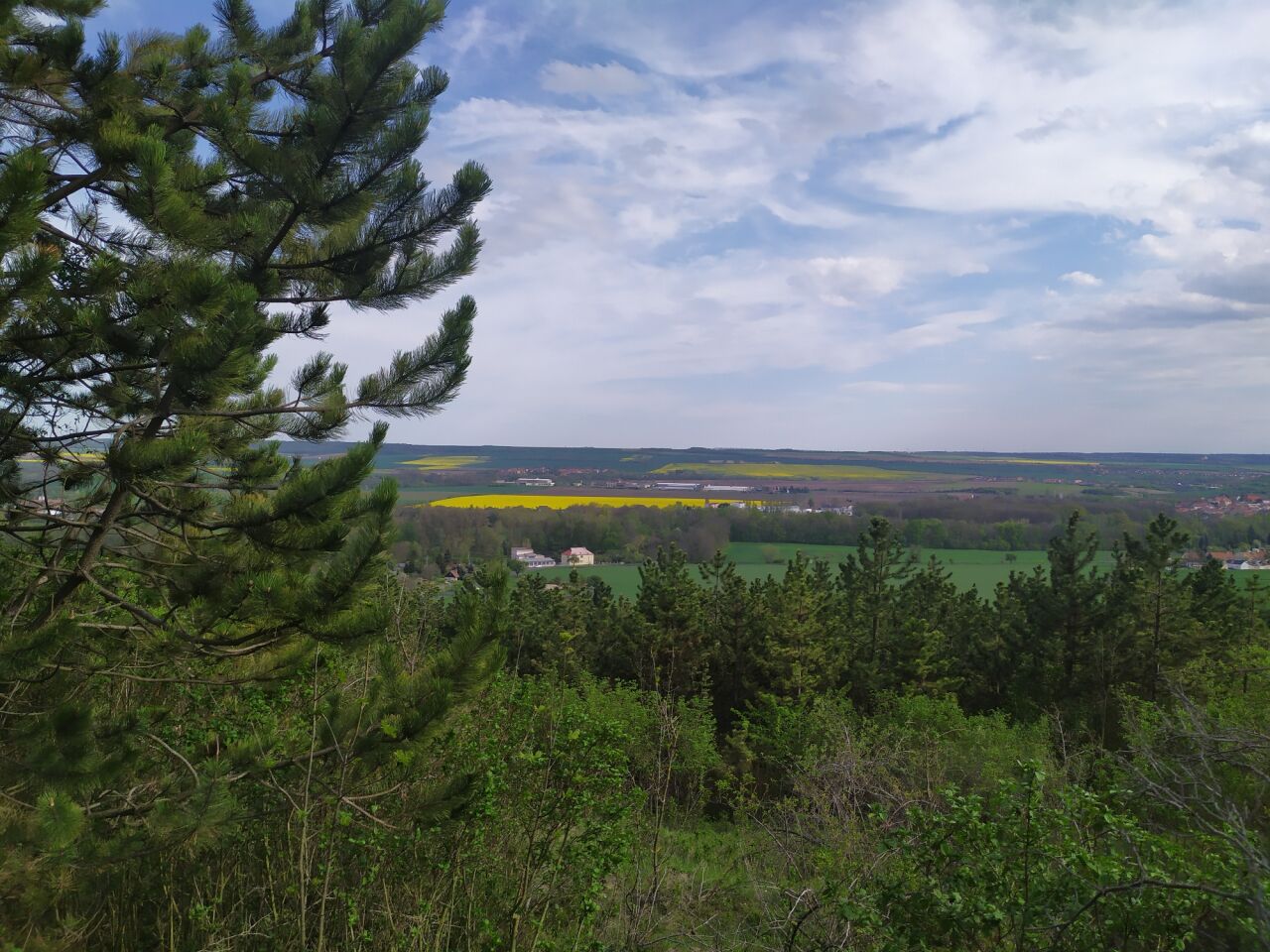U Borovice (235&nbsp;m)