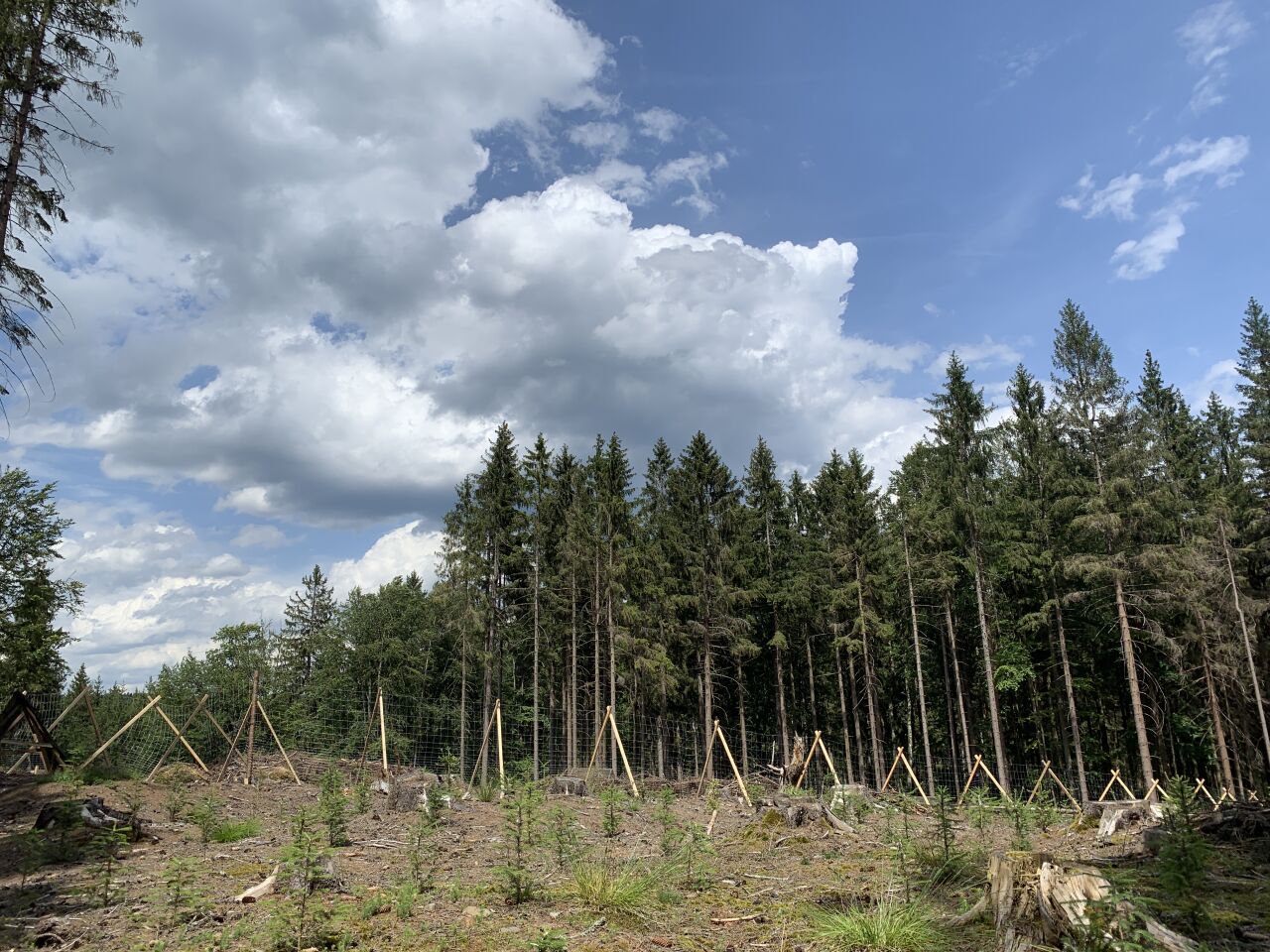 Flusárenský vrch