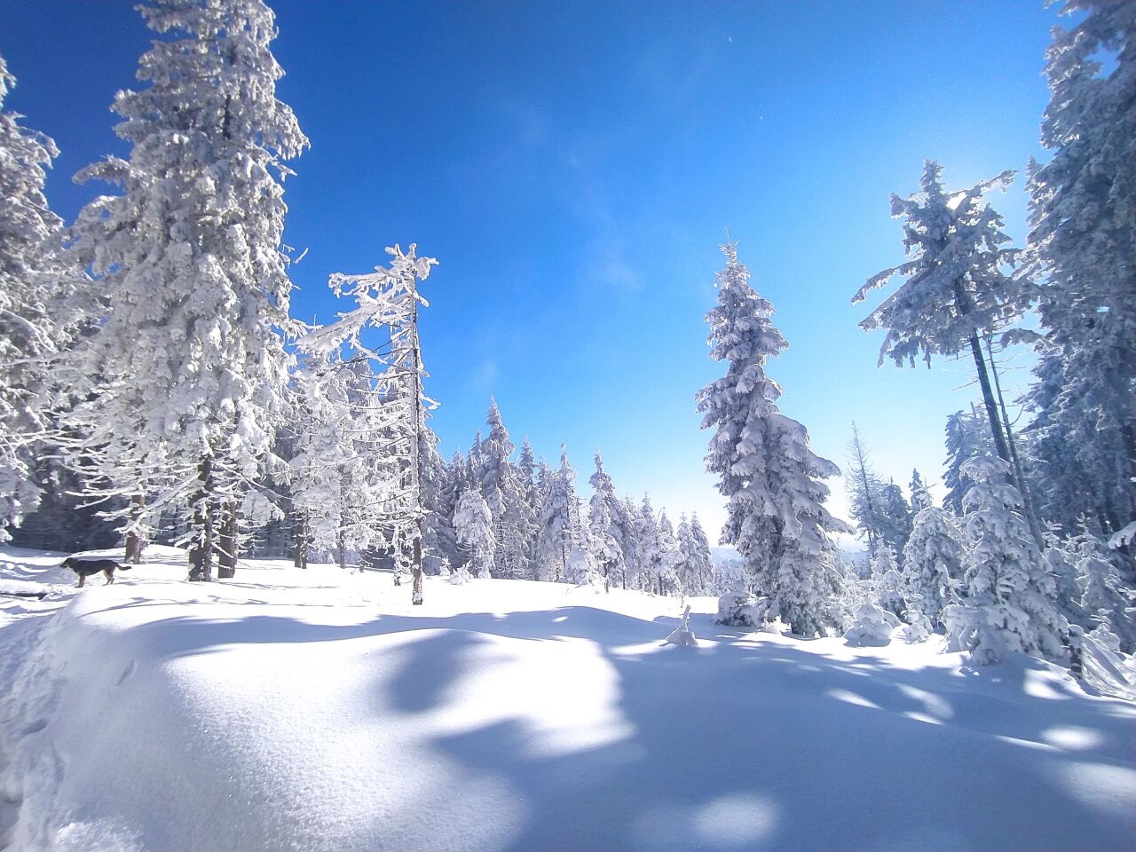 Zimný (1080&nbsp;m)