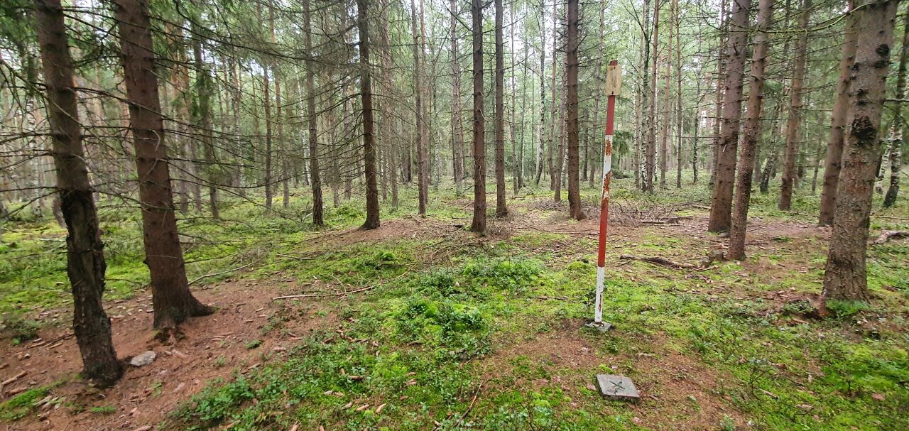 Lišák (677&nbsp;m)