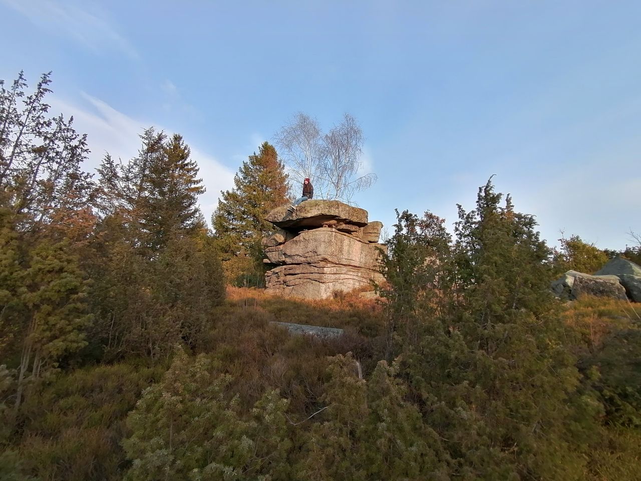Výhon
