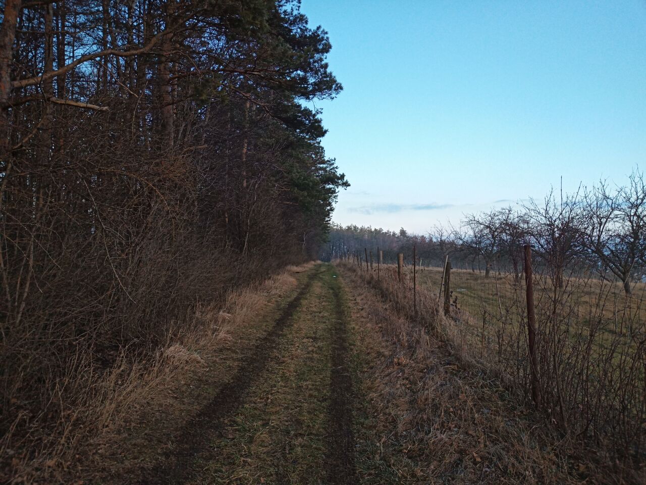 Léšť (421&nbsp;m)