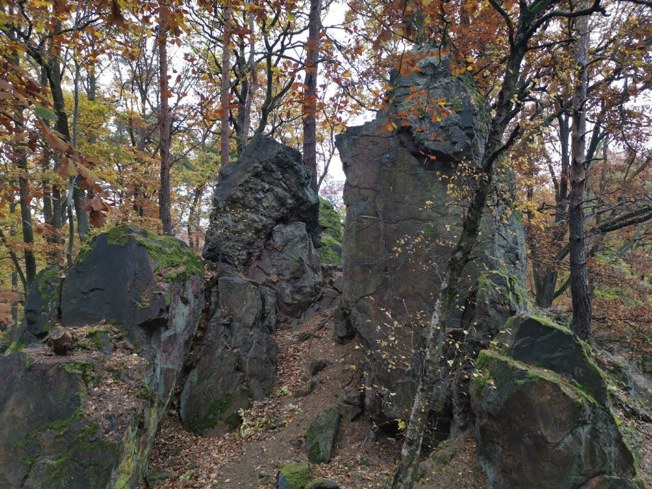 Vysoká
